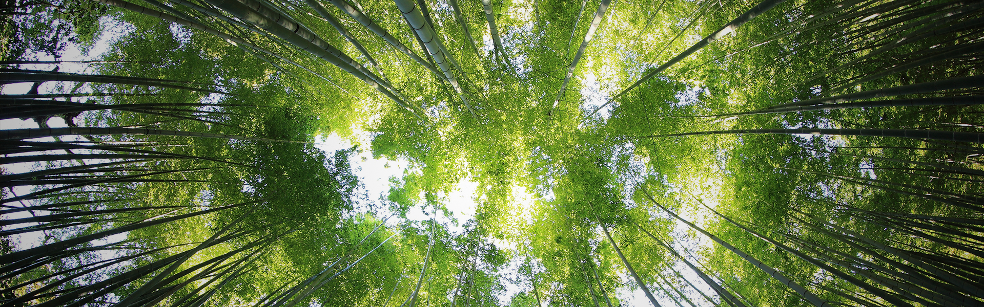 走進(jìn)辰陽(yáng)達(dá)